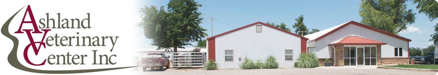 Ashland Veterinary Center Inc.